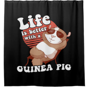 Chilling Guinea Pig Life Is Better With Guinea Pig
