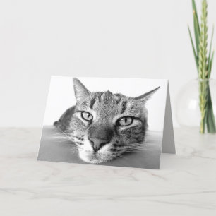 Chilling out greeting card