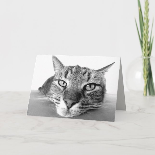 Chilling out greeting card (Front)