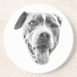 Chilly Dusk Canine Echo Coaster