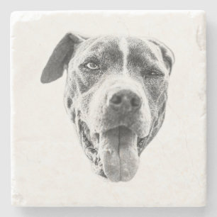 Chilly Dusk Canine Echo Stone Coaster