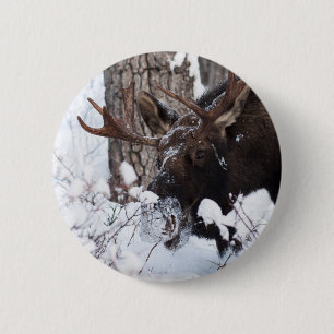 Chilly Moose 2 Inch Round Button
