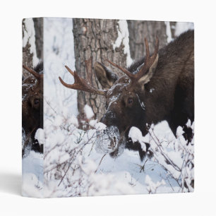 Chilly Moose Binder