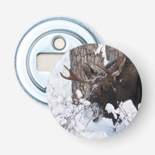 Chilly Moose Bottle Opener