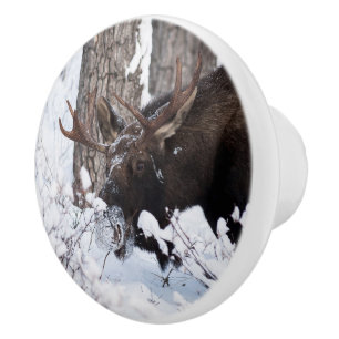 Chilly Moose Ceramic Knob