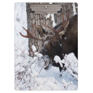 Chilly Moose Clipboard
