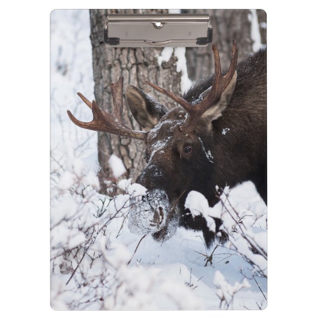 Chilly Moose Clipboard (Front)