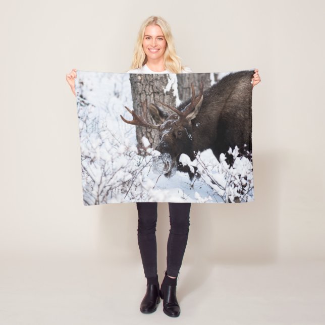 Chilly Moose Fleece Blanket (In Situ)