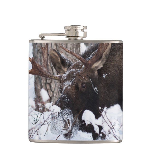 Chilly Moose Hip Flask (Front)
