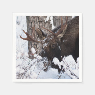 Chilly Moose Napkin