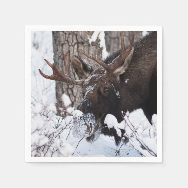 Chilly Moose Napkin (Front)