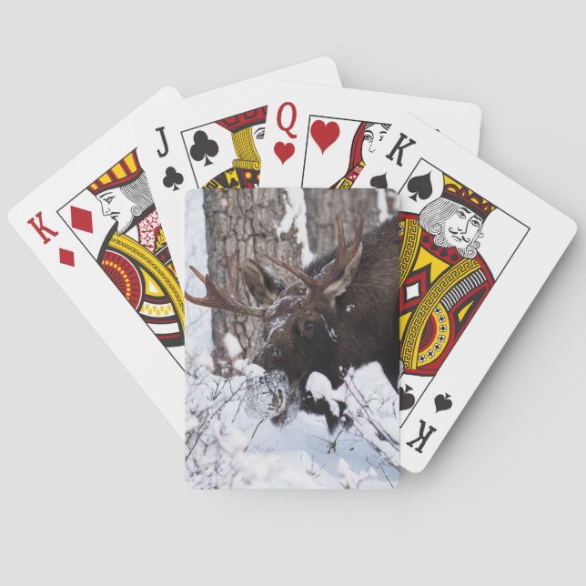 Chilly Moose Playing Cards (Back)