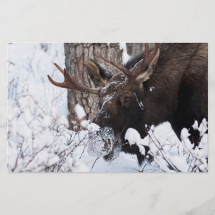 Chilly Moose Stationery