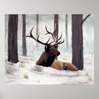 Chilly Poster