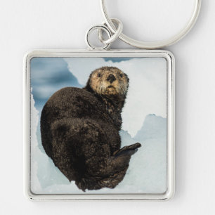 Chilly Sea Otter Keychain