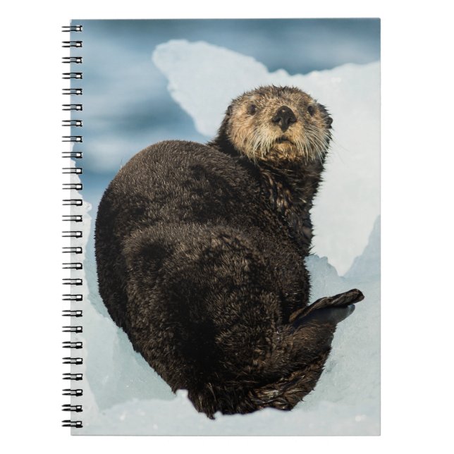 Chilly Sea Otter Notebook (Front)