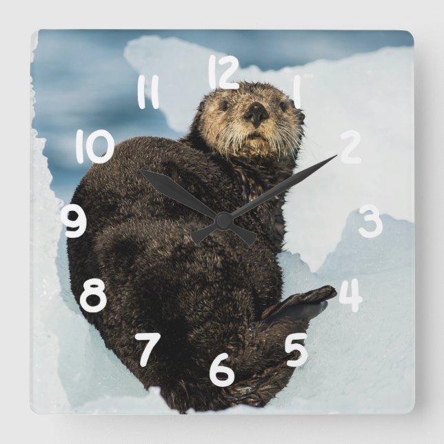 Chilly Sea Otter Square Wall Clock (Front)