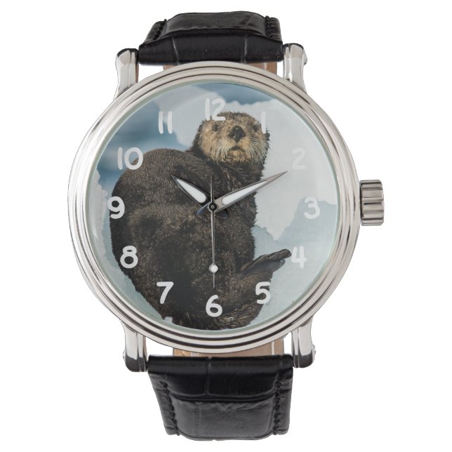 Chilly Sea Otter Watch (Front)