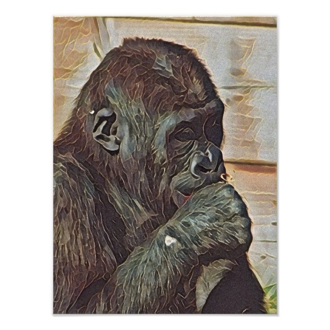 CHIMP ART PHOTO PRINT (Front)