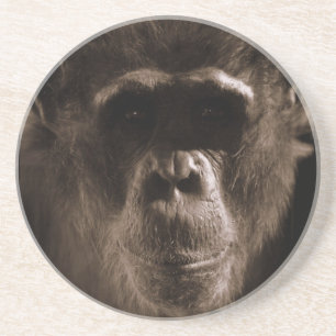 Chimp Coaster