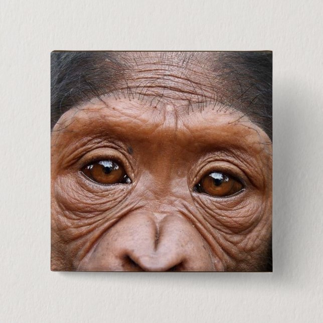 CHIMP EYES BUTTON (Front)