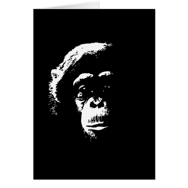 Chimp Shadows (Front)