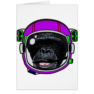 Chimp. spatial