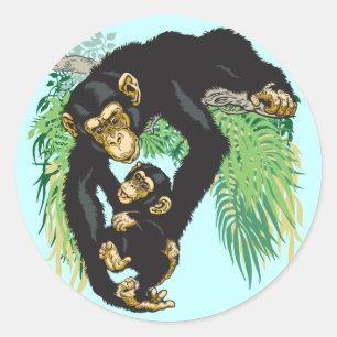 chimp with baby classic round sticker