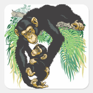 chimp with baby square sticker