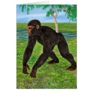 Chimpanzé