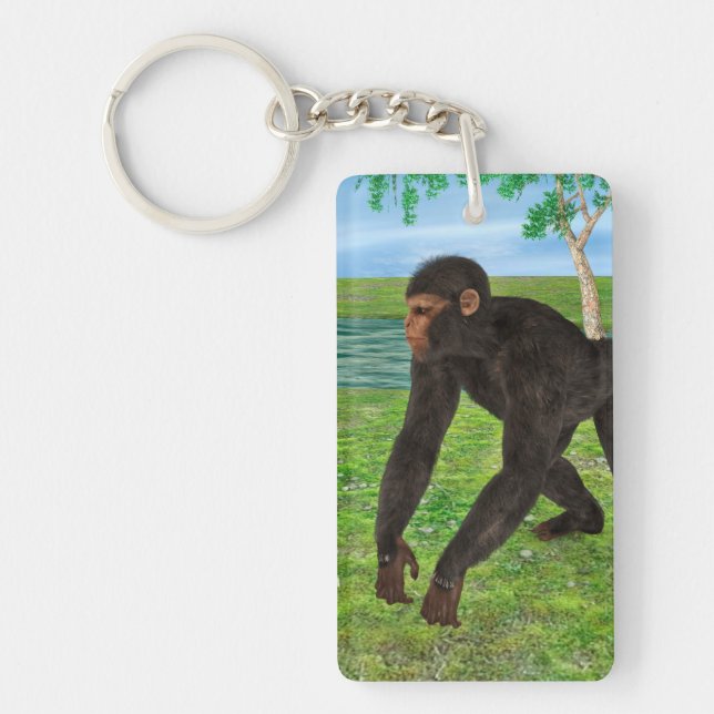 Chimpanzé (Devant)