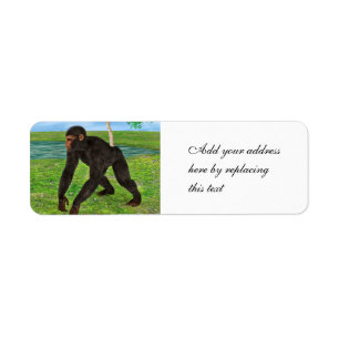 Chimpanzé
