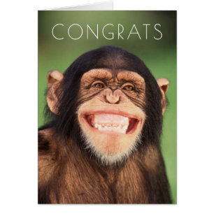Chimpanzé de grimacerie des images   de Getty