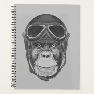 Chimpanzé du casque vintage
