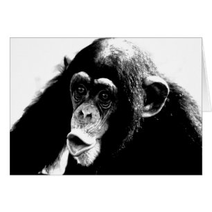 Chimpanzé noir blanc