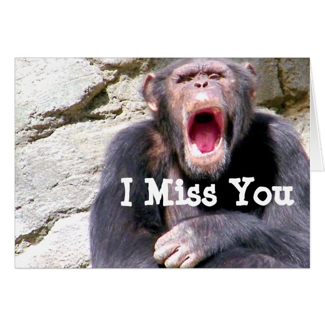 Chimpanzee_ (Front Horizontal)