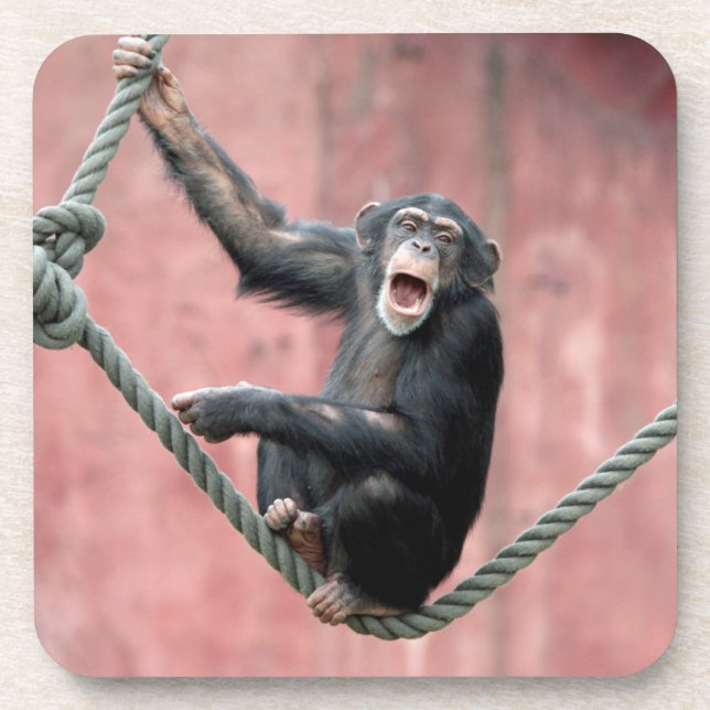 Chimpanzee 001 coaster (Front)