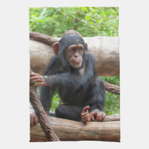 Chimpanzee 001 kitchen towel