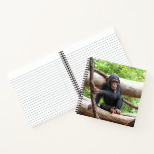 Chimpanzee 001 notebook