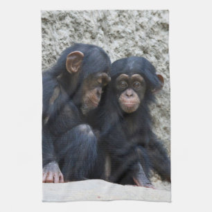 Chimpanzee 002 kitchen towel