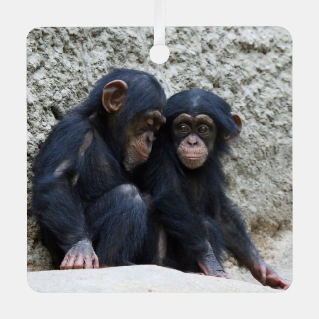 Chimpanzee 002 metal ornament (Front)