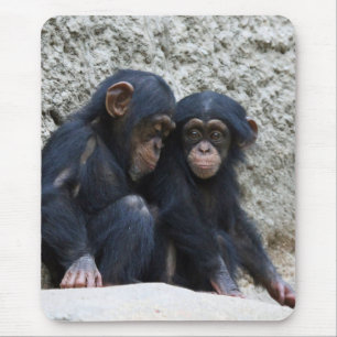 Chimpanzee 002 mouse pad