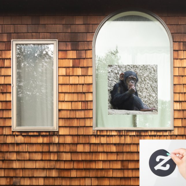 Chimpanzee 013 window cling (Home Window)