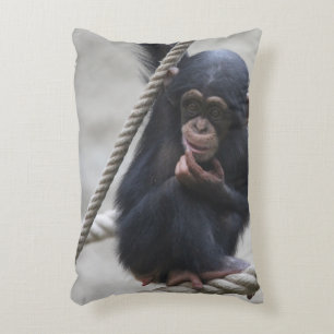 Chimpanzee 030 accent pillow