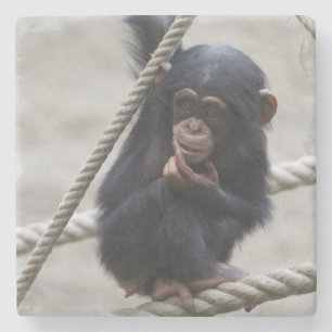 Chimpanzee 030 stone coaster