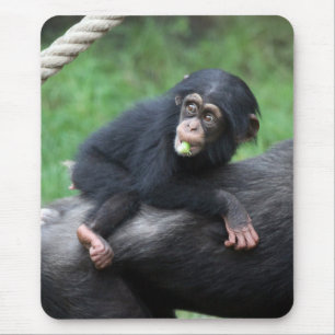 Chimpanzee 032 mouse pad