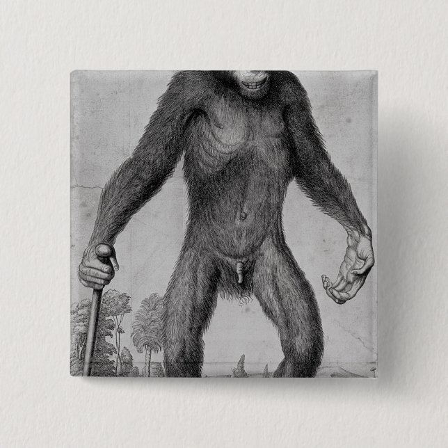 Chimpanzee, 1699 2 inch square button (Front)