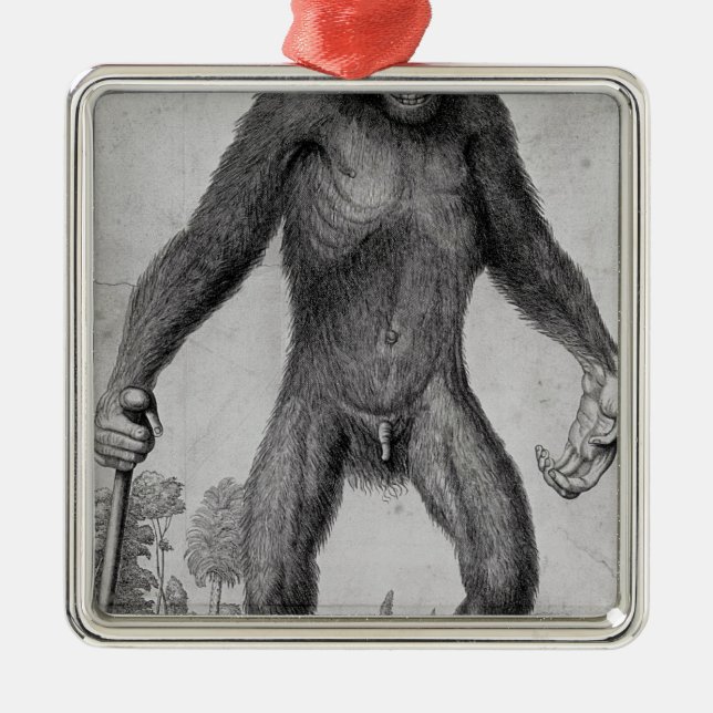 Chimpanzee, 1699 metal ornament (Front)