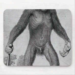 Chimpanzee, 1699 mouse pad