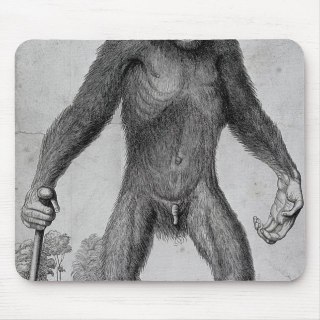Chimpanzee, 1699 mouse pad (Front)